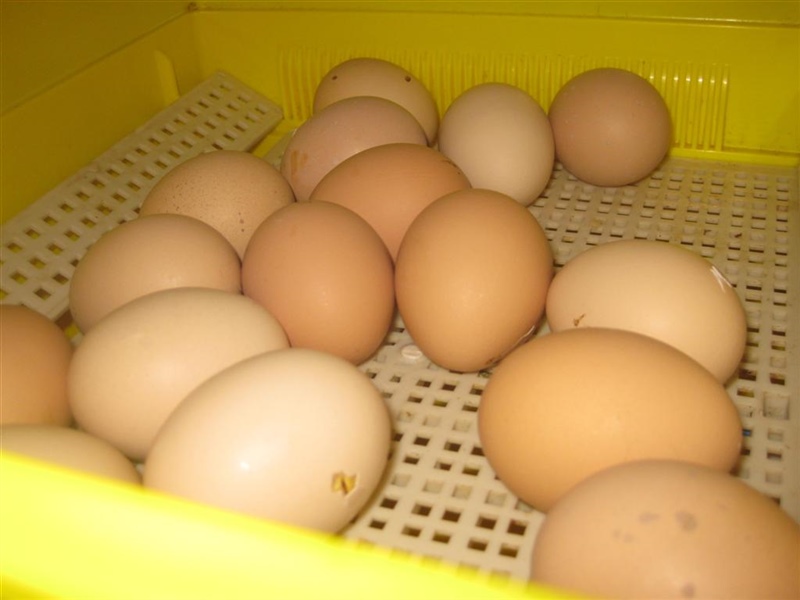 Vum Ee zum Jippelchen 32